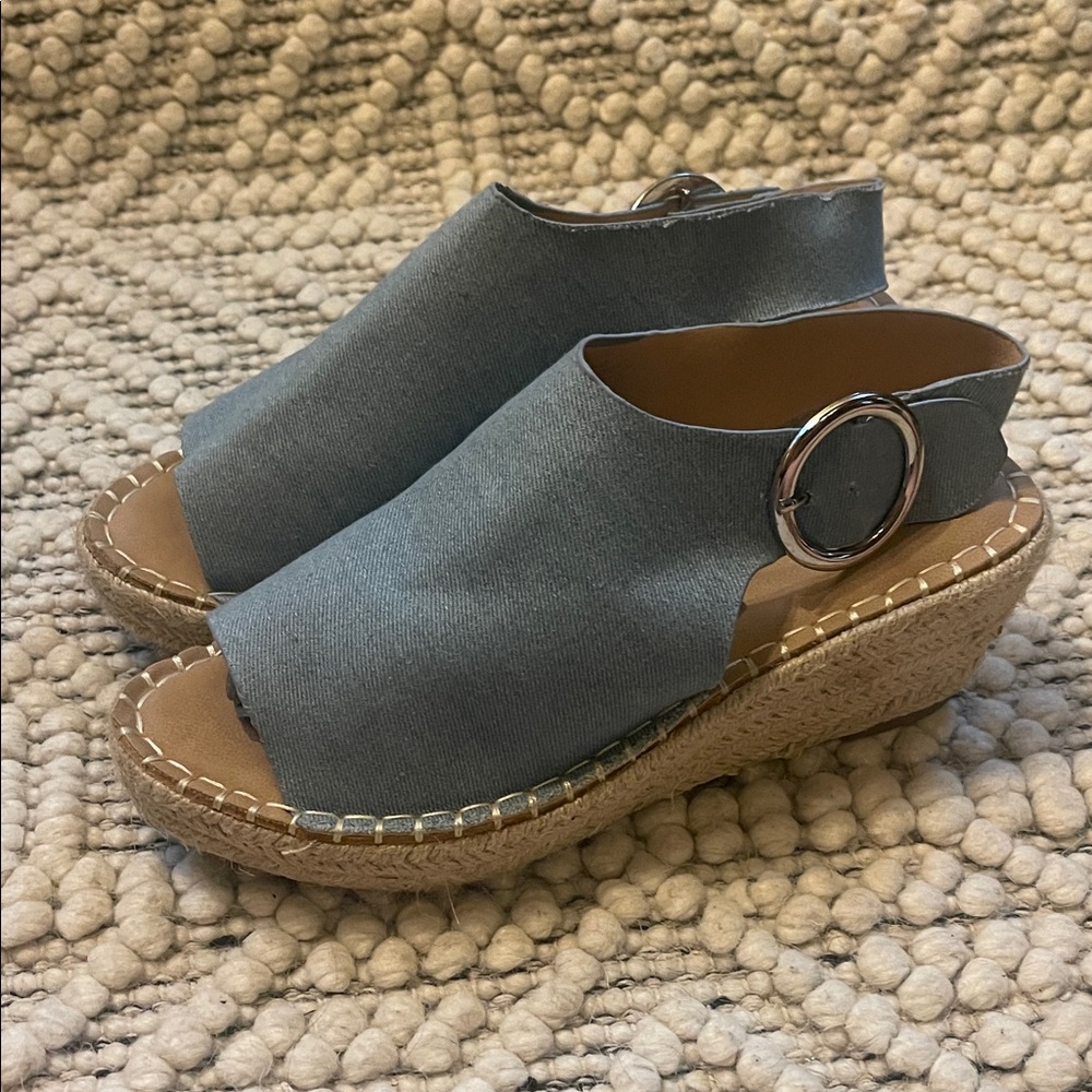 Catherine Malandrino Blue Wedge Sandals